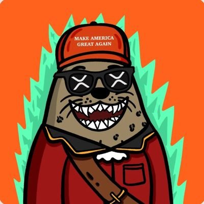 POCUSMETAX's profile picture. Forklift certified trumpet player / Crypto / Full time learner