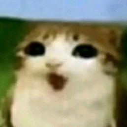 FurryBiskuitOwO's profile picture. Haiii~ :3                                    
Just scrolling some of its especially
                       Counter Strike, Cute Furry stuff and Tech stuff. 
 -~