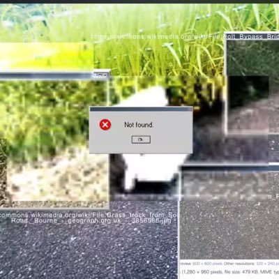 oooism_xd's profile picture. 群れをなした数バイト