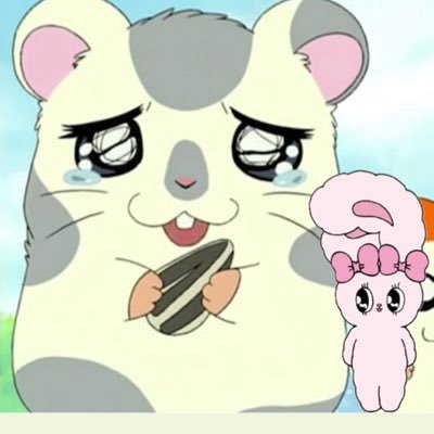 shutaro252's profile picture. @DMRC_meru めるへの愛。