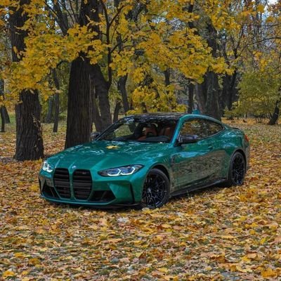 shiv430975's profile picture.