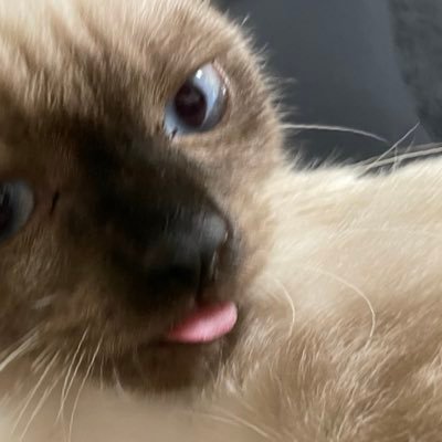 2GNZM's profile picture. † † †