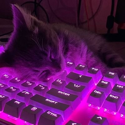 swag7291's profile picture. 