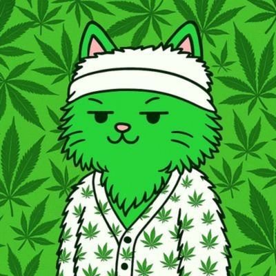 hesham2259's profile picture. 