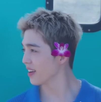 badtzmaruboo's profile picture. 🌺 ♡ maru ♡ queer latinx | carat | personal + fan account 🌺
