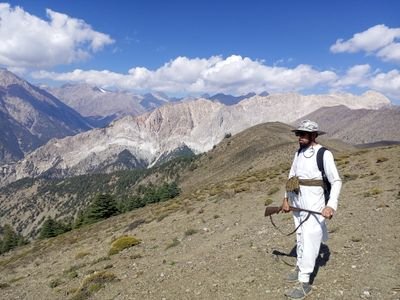 ziaularifin's profile picture. 