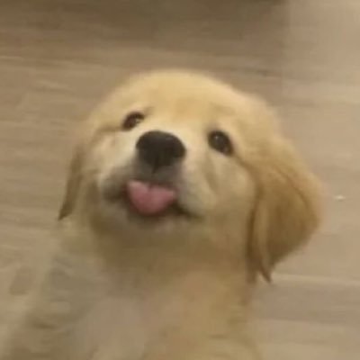 @5Hinccn