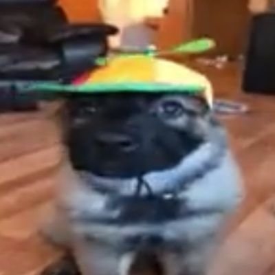 fernetconferro's profile picture. derrotado y sin fernet 
ignorante pajero