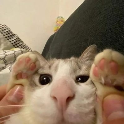 klentro19's profile picture. 