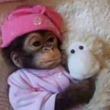 jannavalr's profile picture. hi im janna! valorant hater for @WIP_EsportsTeam