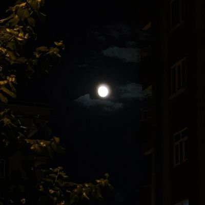 semaclik2134's profile picture. 