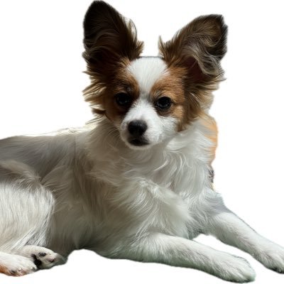 GUEDQf324K27477's profile picture. 