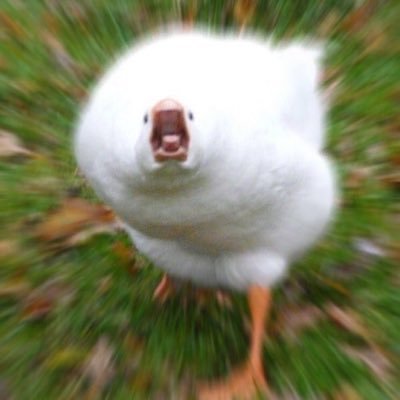 gila9624's profile picture. 20⬇️/ 뜨개+일상/코바늘하고 대바늘 입문중인 뜨린이에요 뜨개질 말고도 손으로 하는거 올려요!! 귀여운게 넘 좋아요