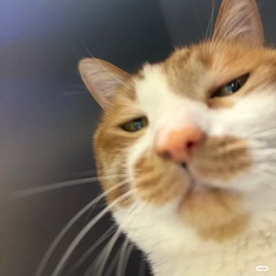 mangja_11's profile picture. 