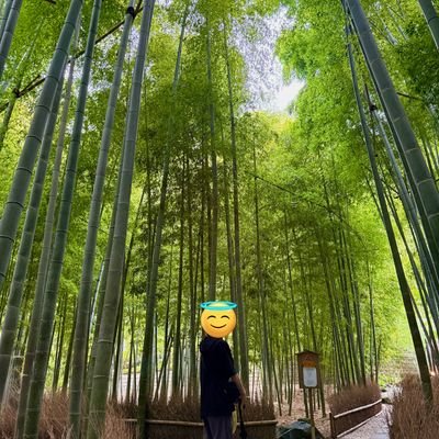 tea41487626's profile picture. 例え勝ち目のない戦いでも 夢も覚悟も変わらない