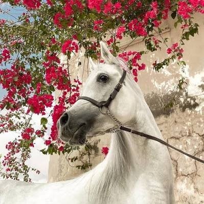 Ooollll574553's profile picture. 