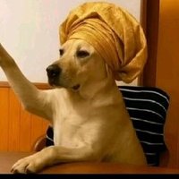 kesna (@micky_fay95540) 's Twitter Profile