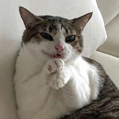 menezesrobertaz's profile picture. 🧘🏻‍♀️