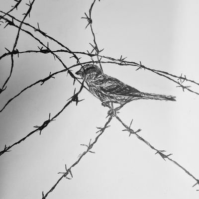 SlipingMoomin's profile picture. אאמינה באדם, גם אם זה ממש קשה| 20