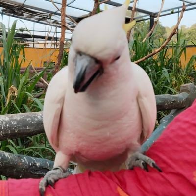 Dhinaka09290726's profile picture. Reader, Traveller. Member of this Universe.