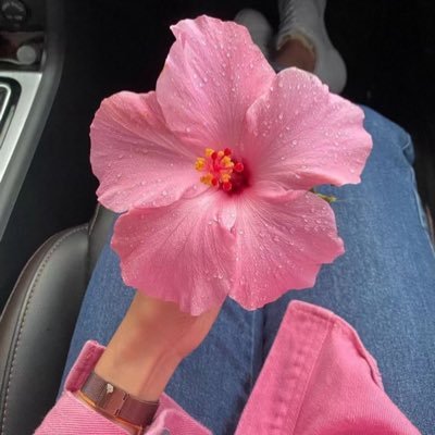 Bahar292031's profile picture. 