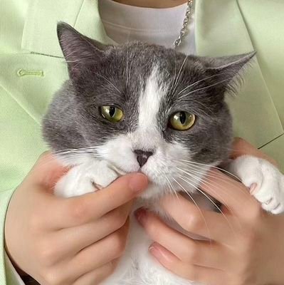 blackbintachan's profile picture. 無言フォローお断り。Do not follow me. 
Im workholic. My favorites: Fukase/Yurina Hirate/magora/KER/Lalande/Testa.