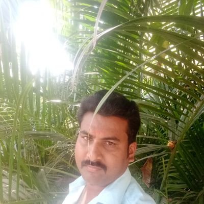 Rubachandr31530's profile picture. 