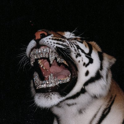 crypCS's profile picture. 21