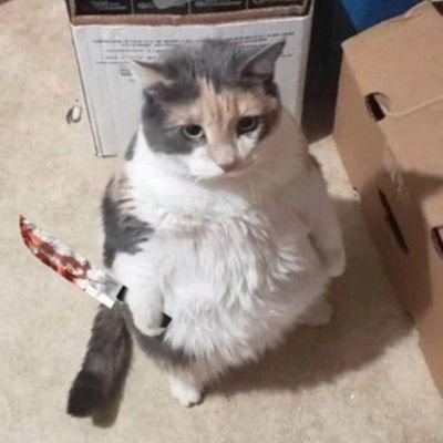 AmnAmyn's profile picture. 