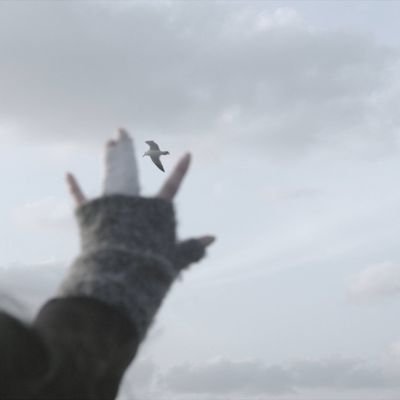 ieatsweett's profile picture. Most people want freedom.
Few are willing to bleed for it. 
@JawaCapitalDao @justSHROUD__