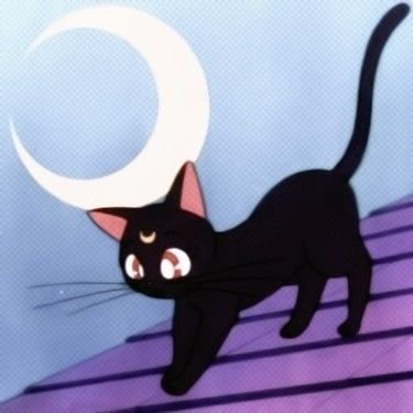 amelia17417925's profile picture. meow