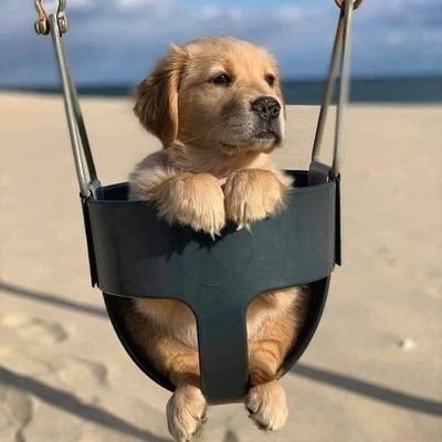 jari_riri's profile picture. GL : ลอ ลนม จจ | K-POP : กจ อพ บพ อป นจ ดซ | 48 : มอ ฟ พ ซด จ | เพราะการจิ้นคือชีวิต🤘| คีฟคู่ | รีไปเปื่อย | 🍽นกหวีด | เราสามารถตามหลายคนในแอคเดียวได้🫰