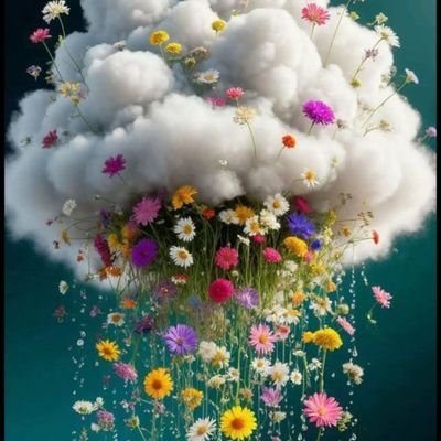 shamsalaseel53's profile picture. 🌸‏‏كتلة من طين على حياة فانيه🌸