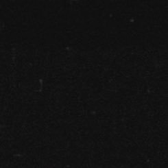 embl52's profile picture. 