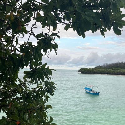 bhOolah22's profile picture. نِعم الله كثيرة ومنها وجُود إبنتي وابني في حياتي♥️