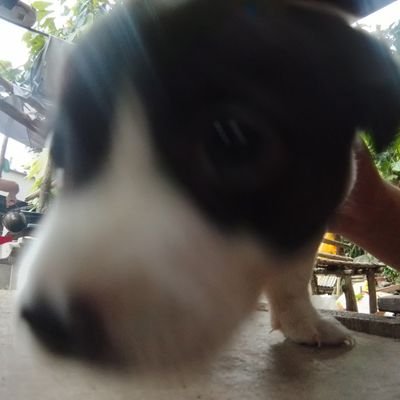 JAAMMMMD's profile picture. thnking so deeply why many people is not fighting fair  and lets help the each other and always be kind and good habits