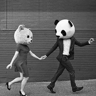 Davizzzt's profile picture. A veces hago fotos, con música y café siempre.
🎶📷📽️🥂🥂☕
Y dicen que mis chistes son malos (pero estan equivocados)