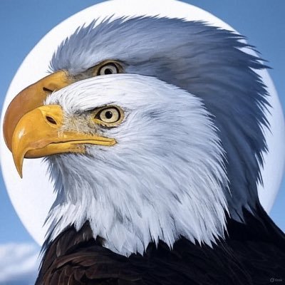 JMontyGO's profile picture. 