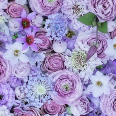 ClevinsR42779's profile picture. 