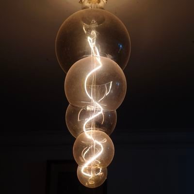 ElmaierSteff's profile picture. 