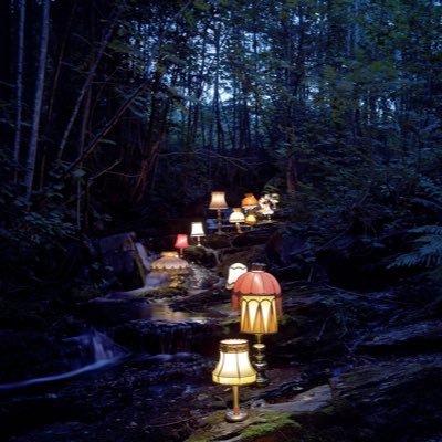 oneandonlyyoro's profile picture. 