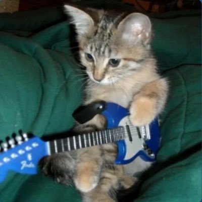 acornmucnher's profile picture. Nothing yet