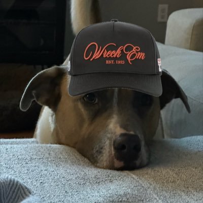 ScoTTU07's profile picture. TTU!! College Football . Texas Country Music . Sometime facetious . Bourbon enthusiast . Anti Big Chili .