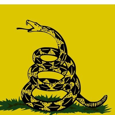 estonoesna66616's profile picture. Libertario, padre, esposo,empresario y amante de la patria