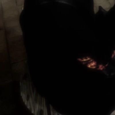 erinyamnyam3's profile picture. 20│162│54│