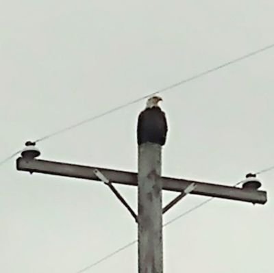 markf886996's profile picture. 