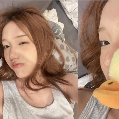 1sunflowerja's profile picture. เลี้ยงแซงต์ไปวัน ๆ , @sangtsangt 🐰