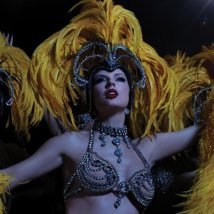 LifeOfAShowMom's profile picture. the trash takes itself out everytime ✨