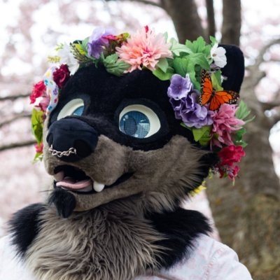 hyperdefined🌺🐾さんのプロフィール画像