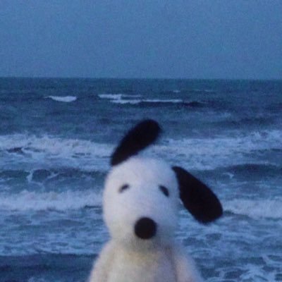 SonBlog1's profile picture. 